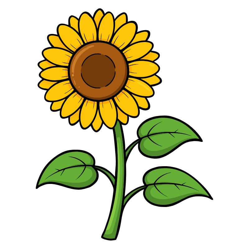 Colchester East Hants Hospice Society